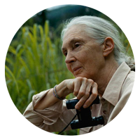 Dr. Jane Goodall